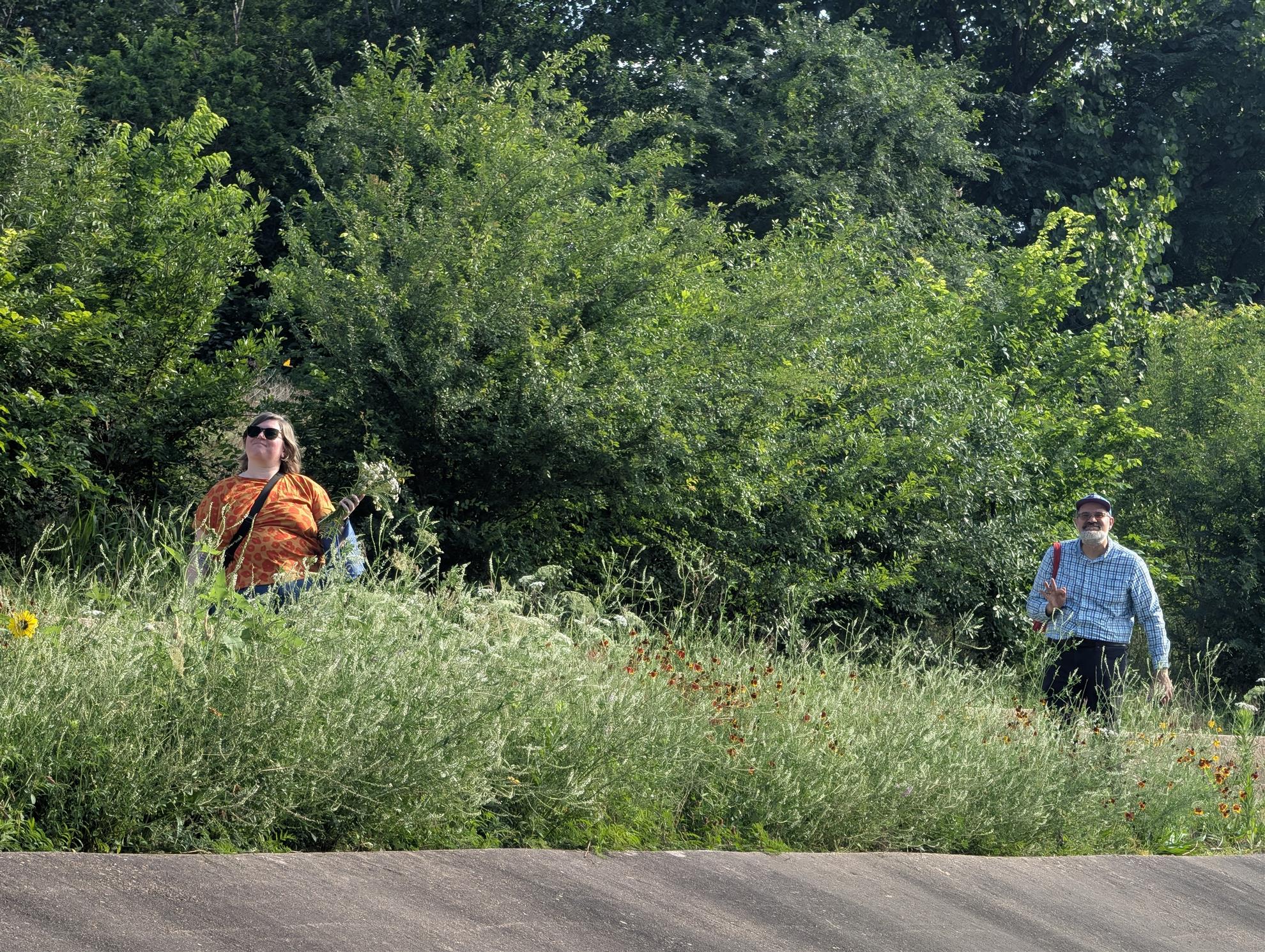 Emily and Mattew picking berries on White Oak, in a field of tall green grass and tress