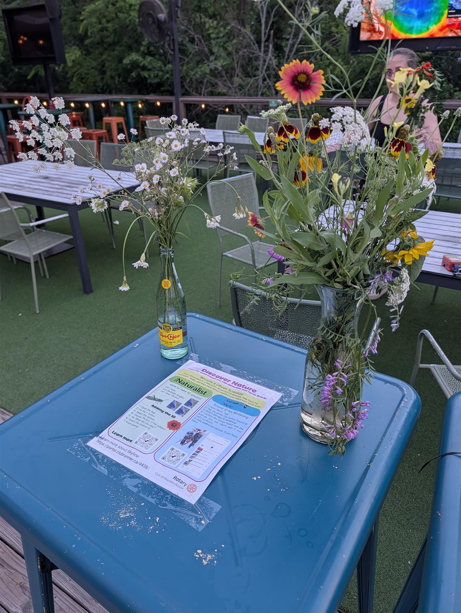 Wildflower bouquets in a topochico bottle and a vase, with a wildlife flyer below.