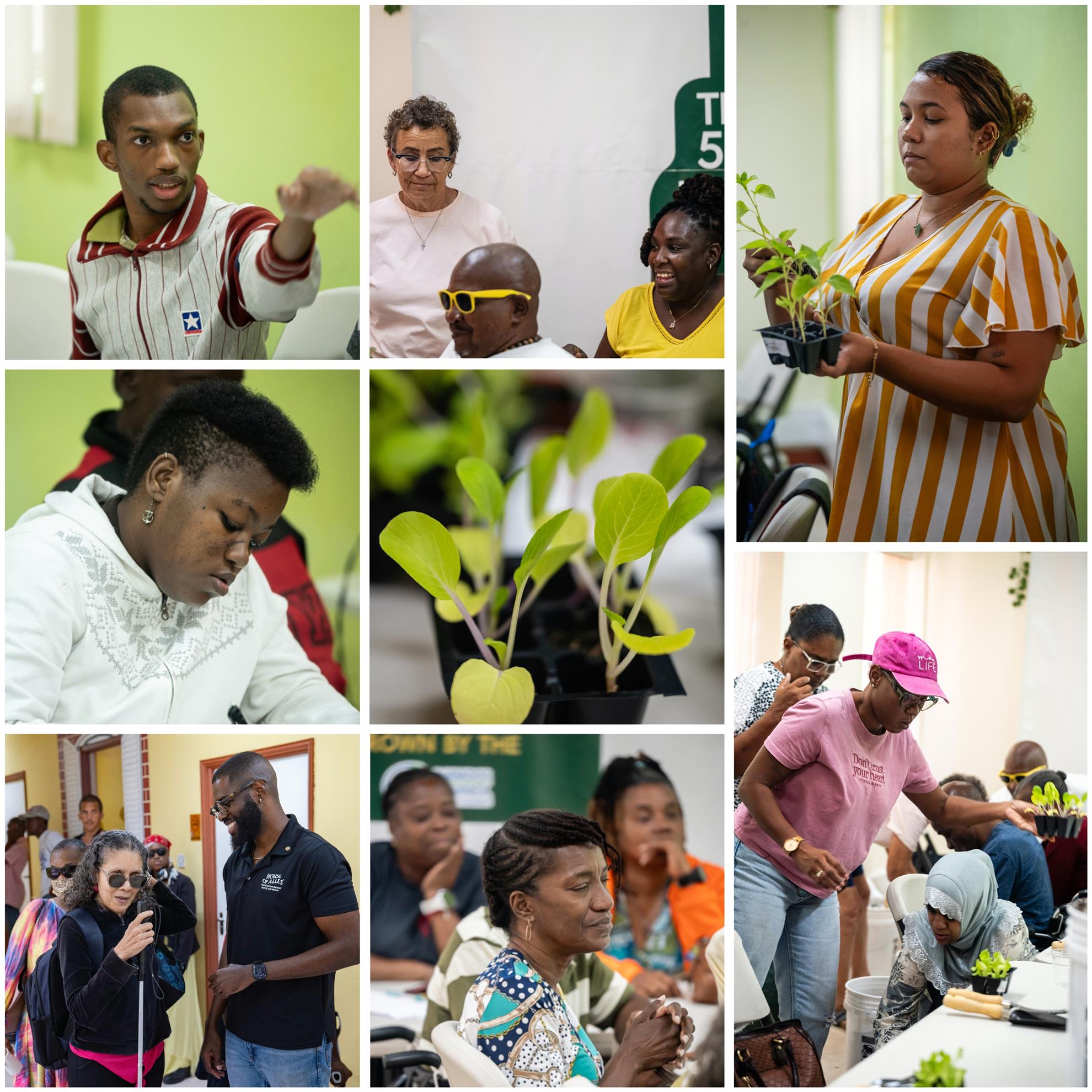 various images of tutors and participants during AccessAbility sessions