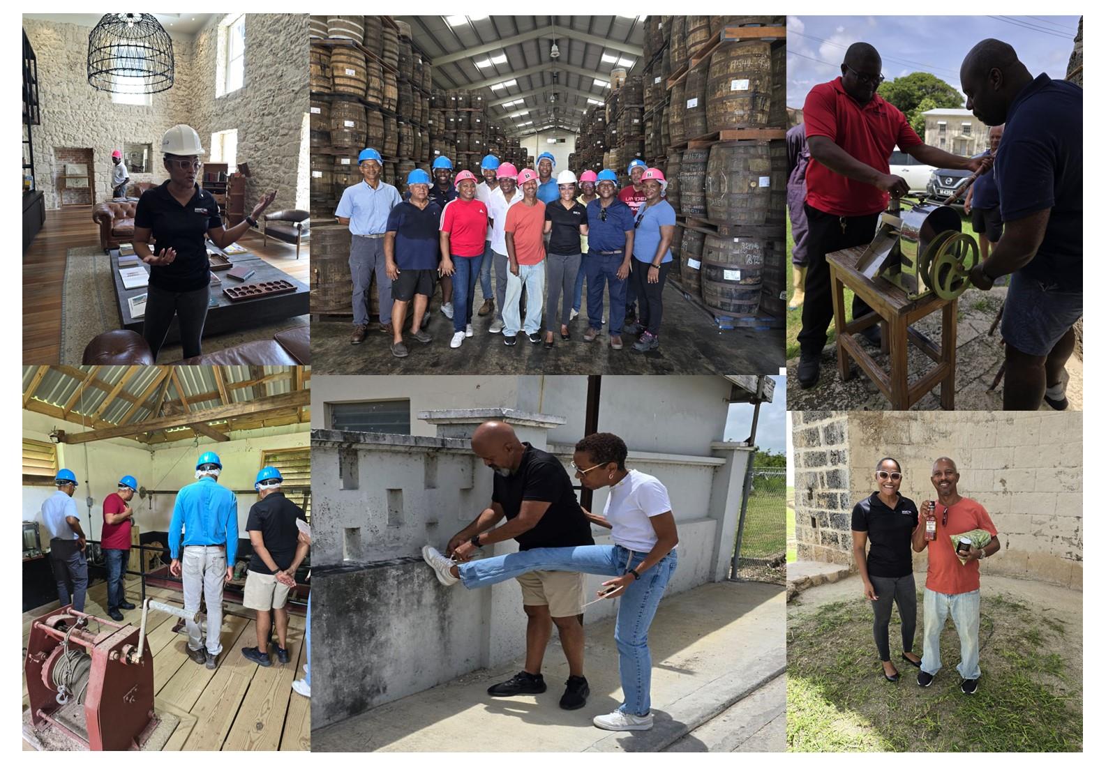 Images of rotarians at mt gay