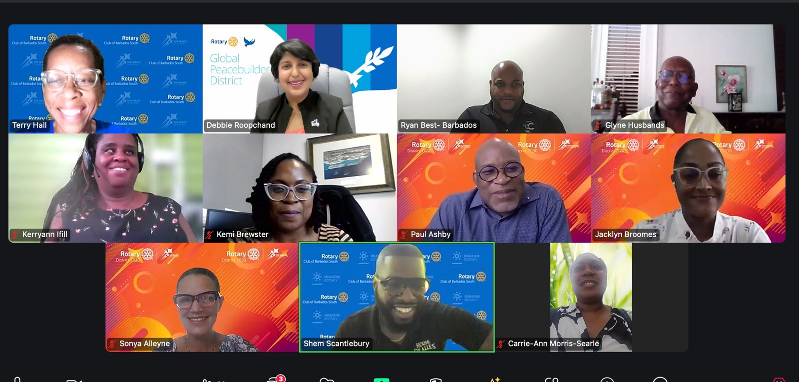 Screenshot of participants in virtual meeting with the DG