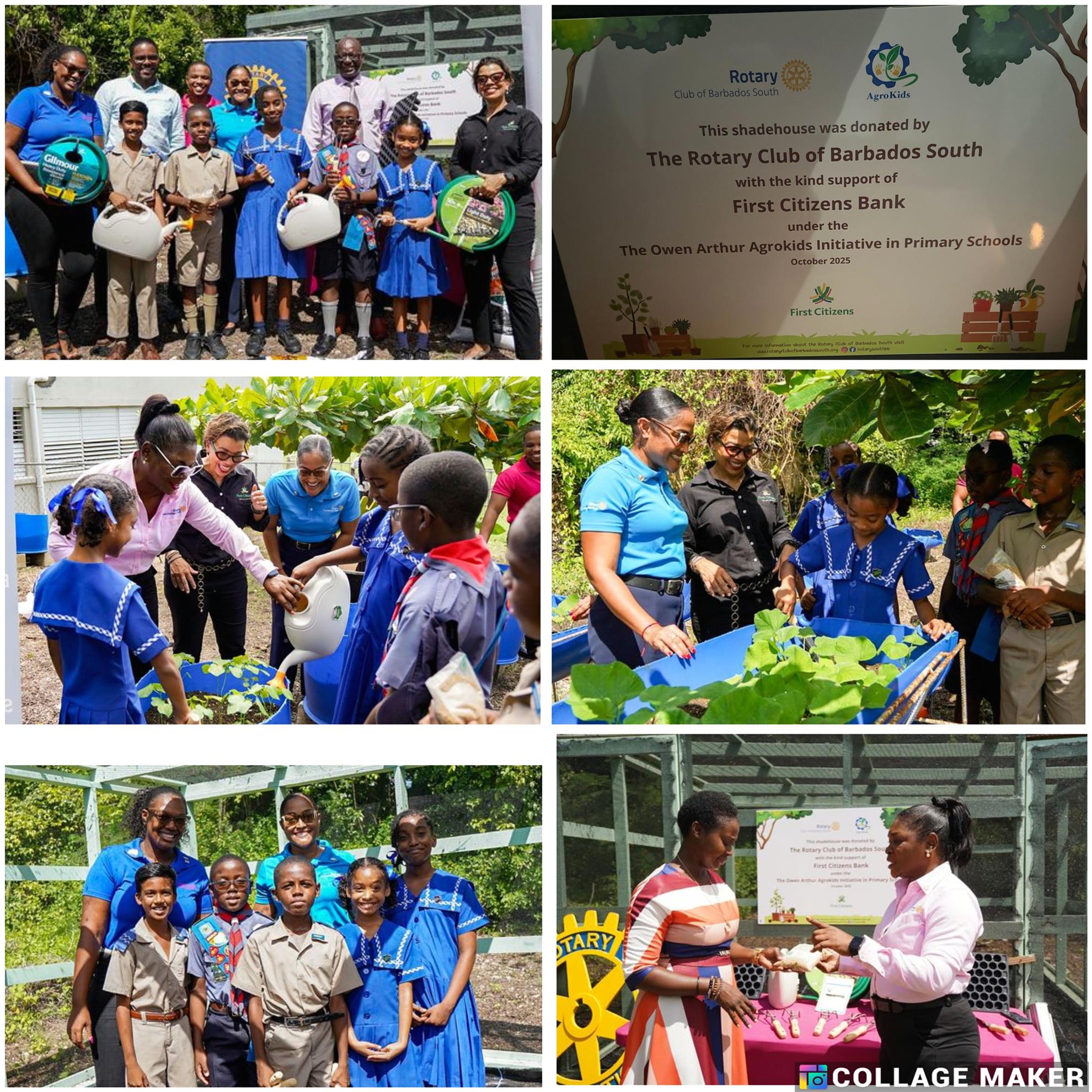image collage from the George Lamming Primary School shade house handover