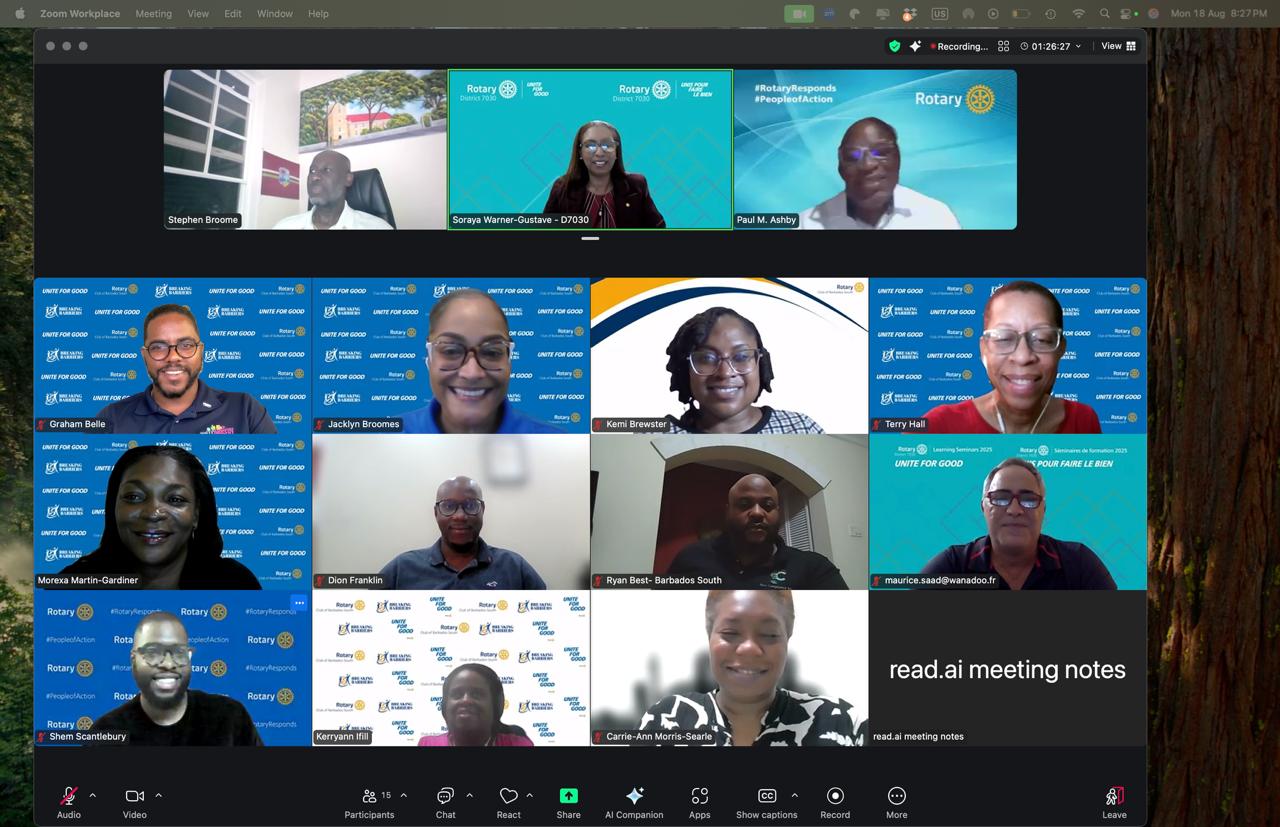 Screenshot of the online meeting with DG Soraya Gustave