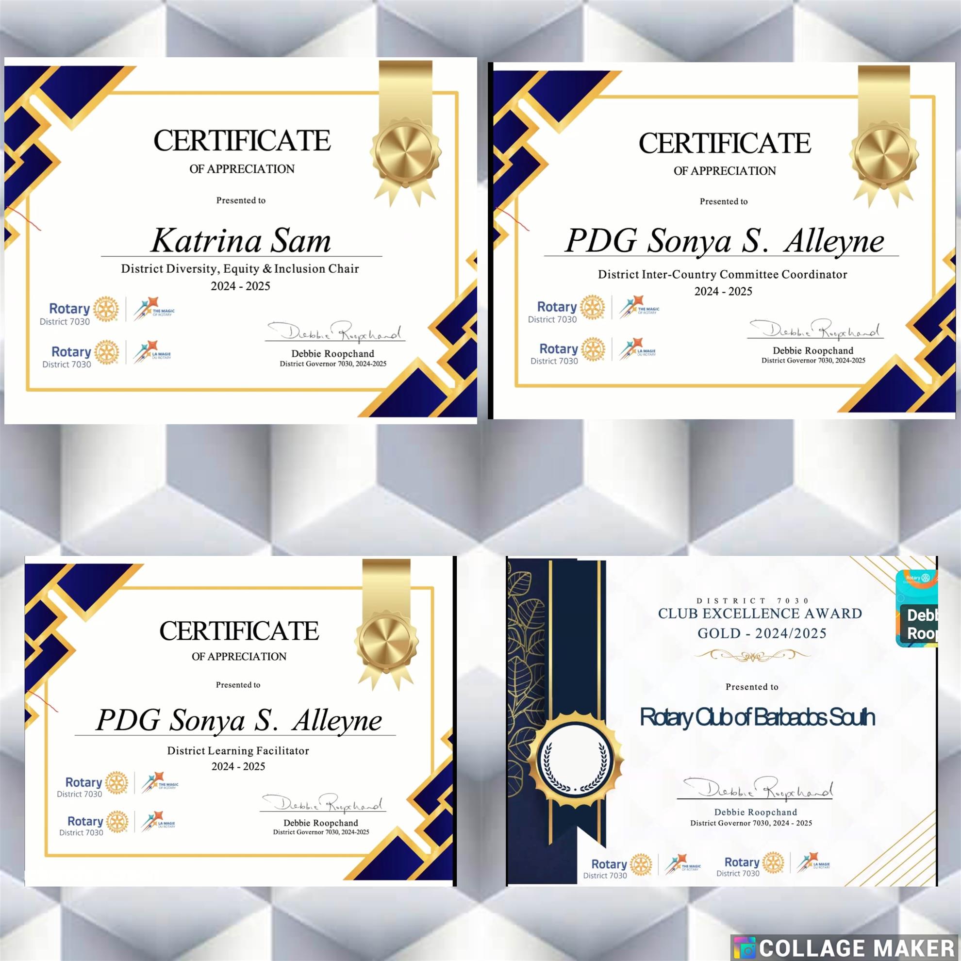 District 7030 Awards