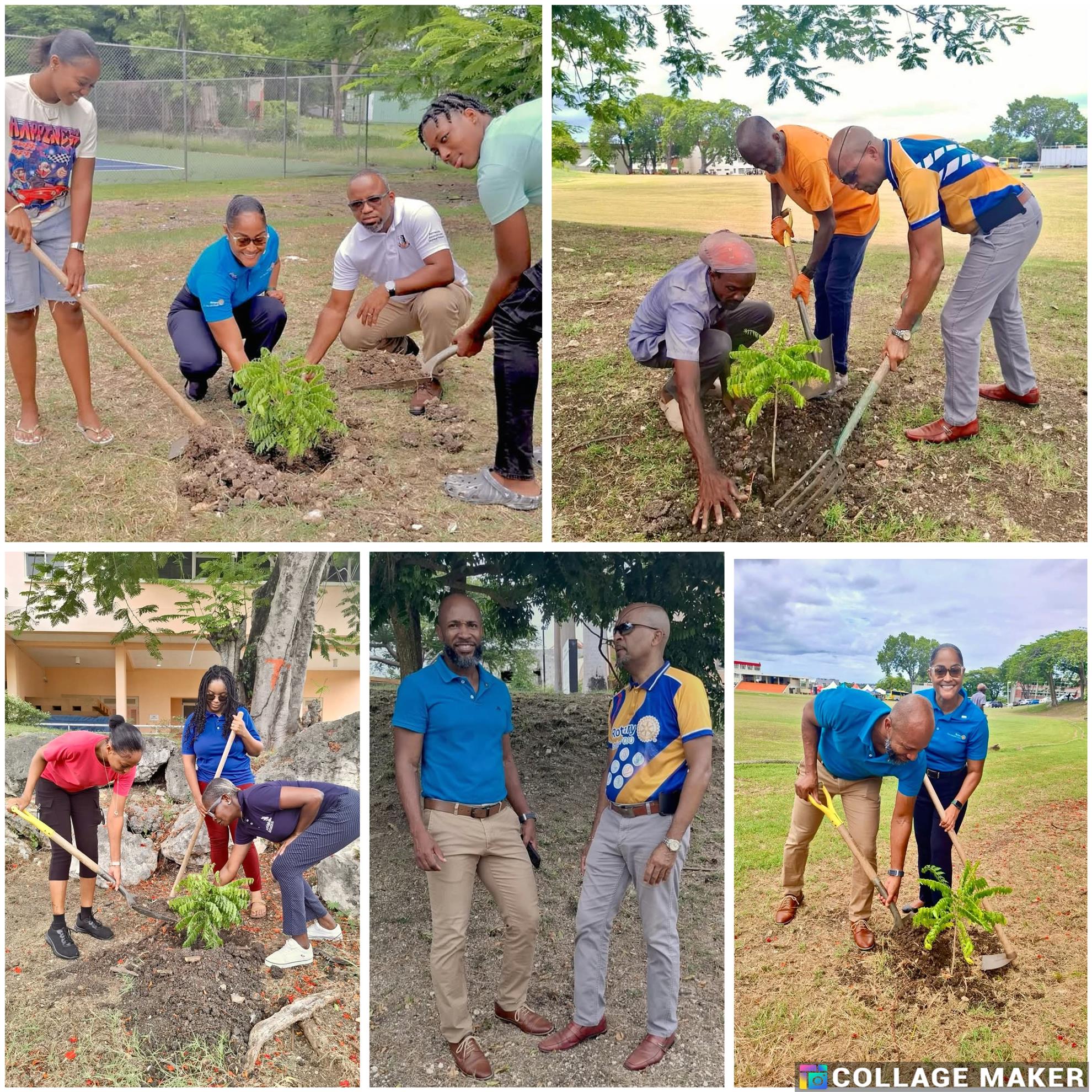 Photo collage of tree planting at BCC