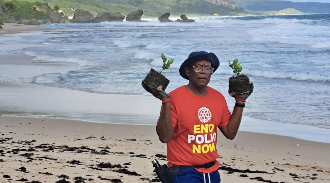 Sec Glyne adorned in his End Polio Now T-shirt walking along east coast shore line with two sea grape plants during the recent tree planting