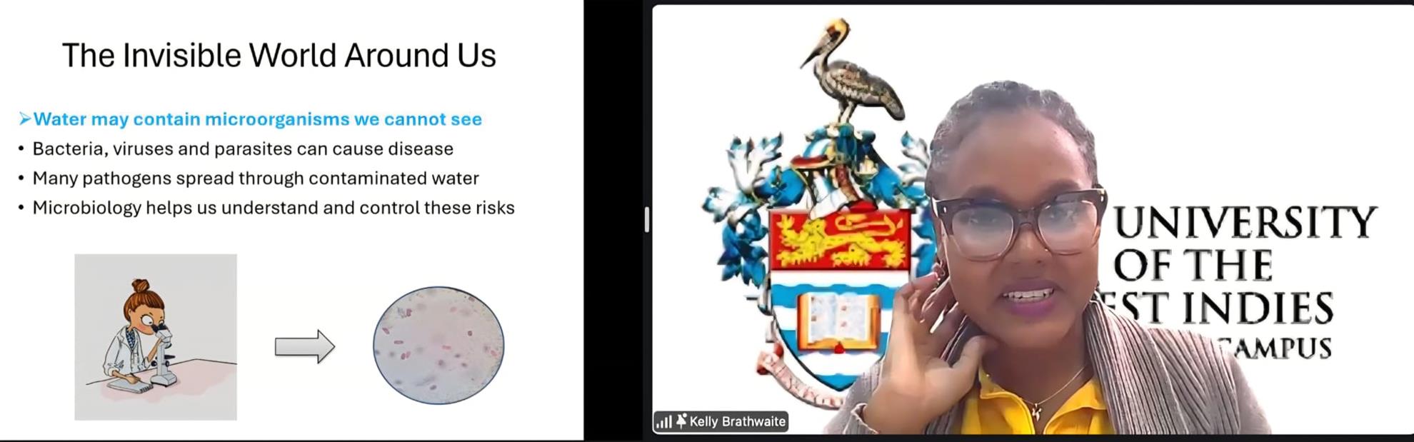 Image of Dr Brathwaite making her presentation