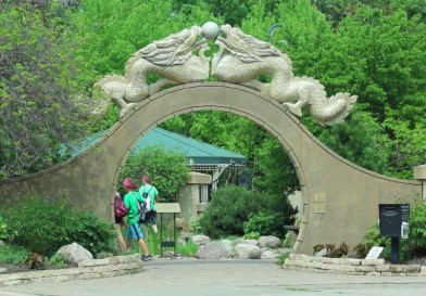 Fall Riverside Garden Fall Clean Up