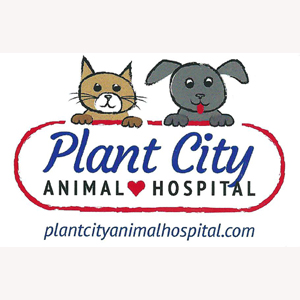 Plant City Animal Hospital