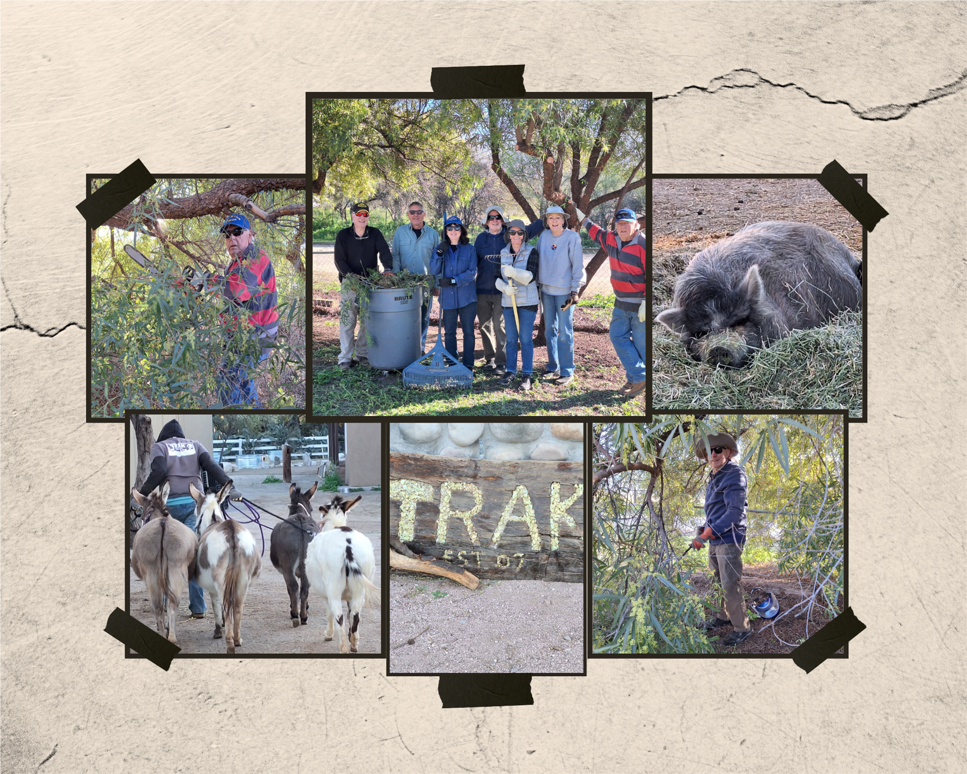 TRAK Recap | Rotary Club of Tucson
