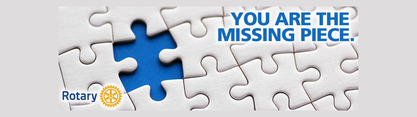 missing-piece-1600x450.jpg