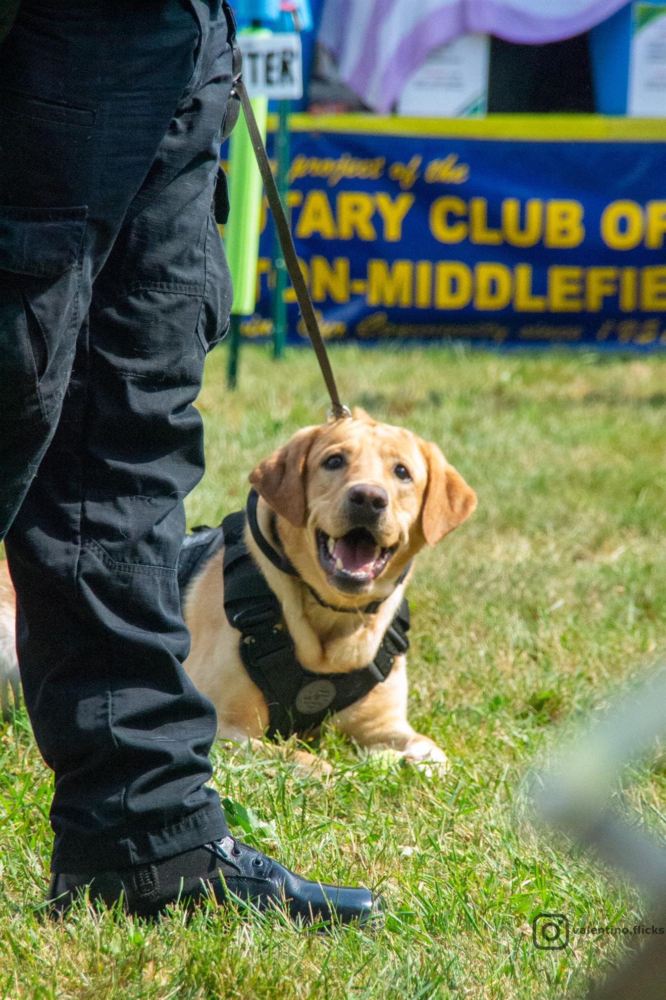 Geauga County Sheriff K9 