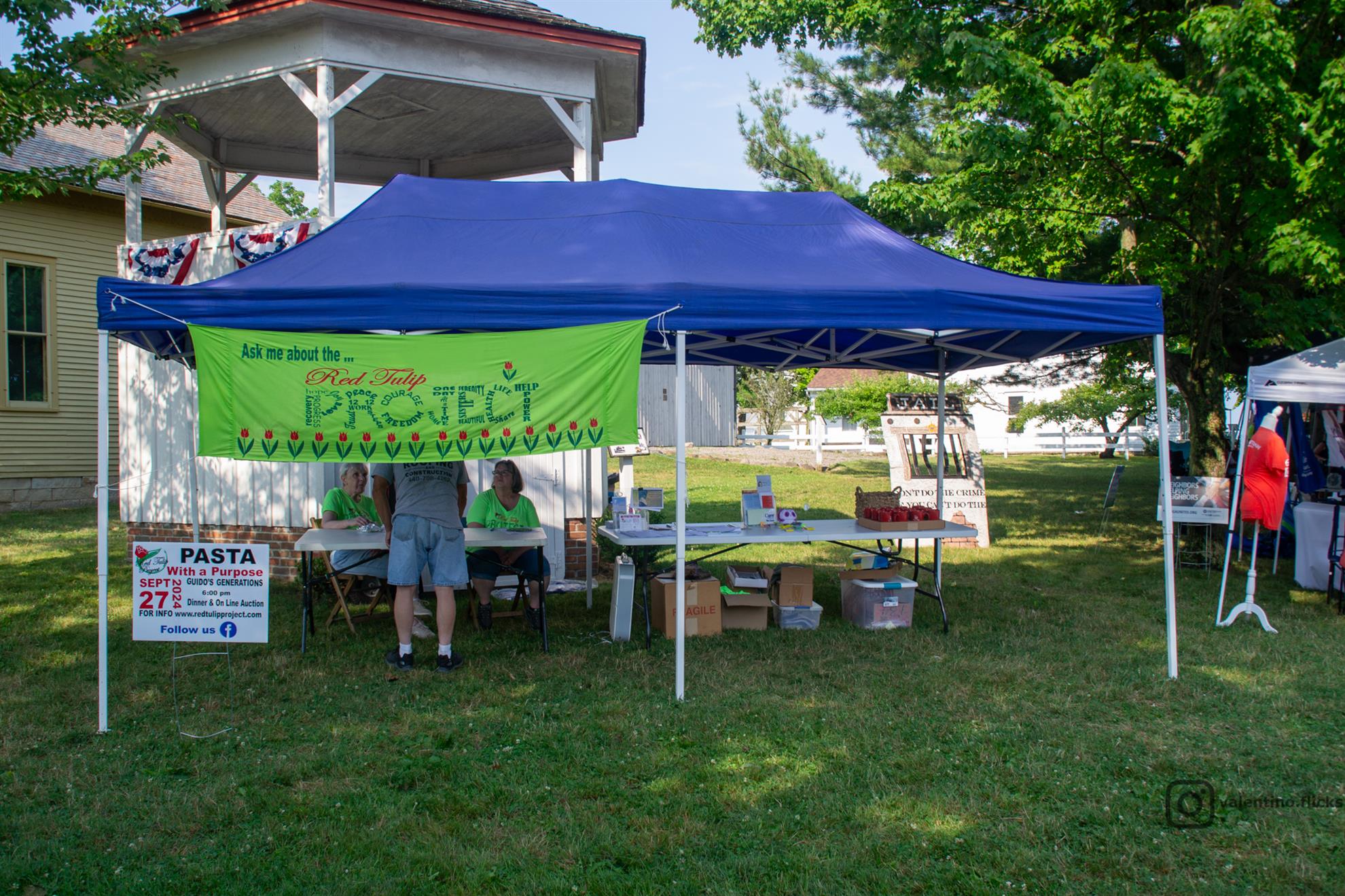 Non Profits