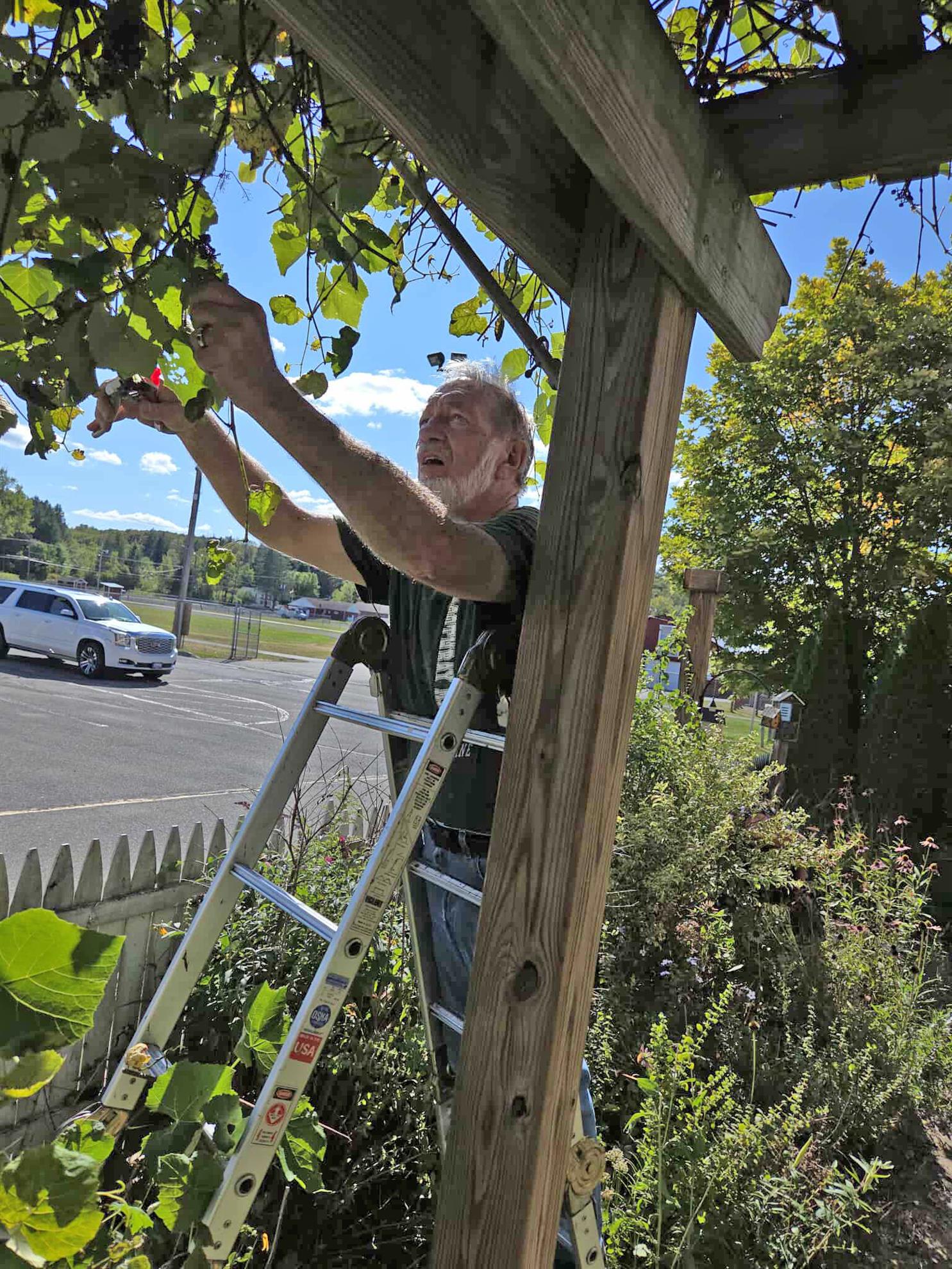 learning-garden-cleanup