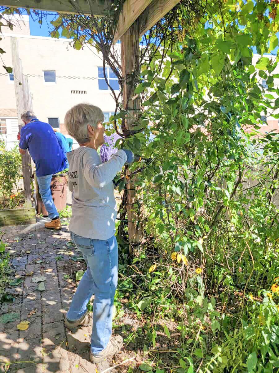 learning-garden-cleanup