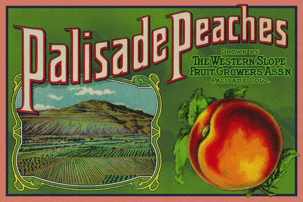 Event Cover Image