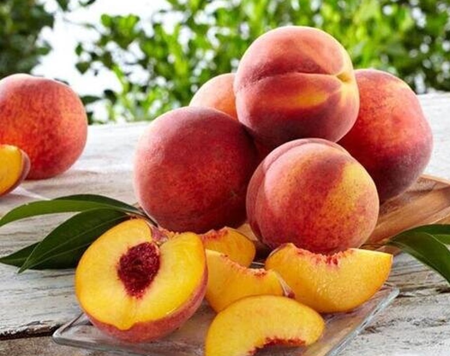 Palisade Peach Sales 2026