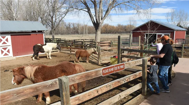 Fifth Wednesday Meeting @ Martinez Farm