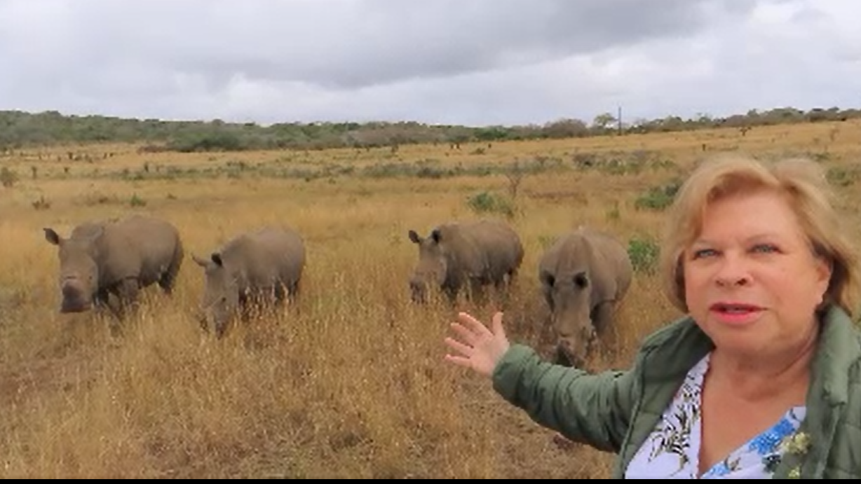 Live From South Africa! Insight into the Rhinos March Toward Extinction Rotary Club of Fort Collins
