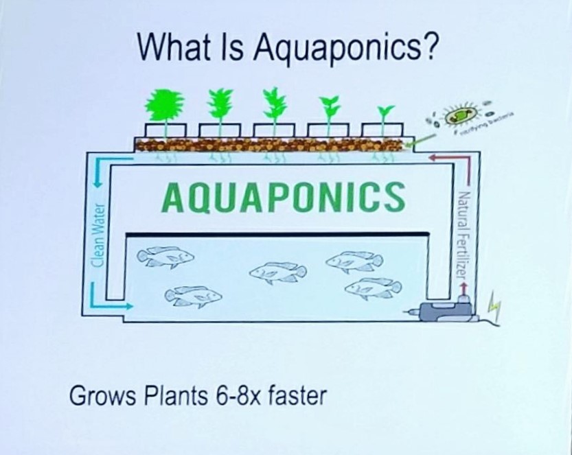 Graphic of Aquaponics grow bed