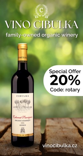 Vino Cibulka