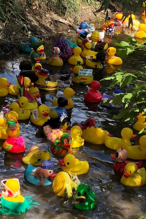 2018 Corporate Duck Derby Winners | Rotary Club of Northglenn/Thornton