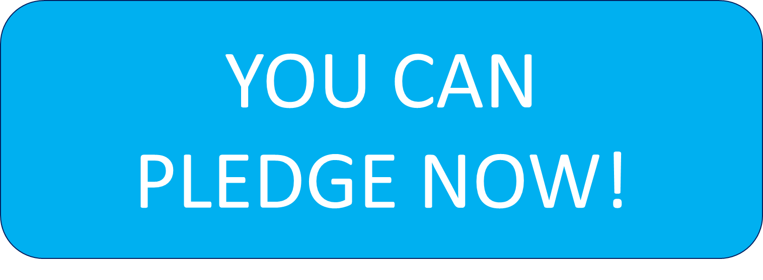 Pledge Your Rotary Foundation Fund-Share Today | Rotary Club of Edina