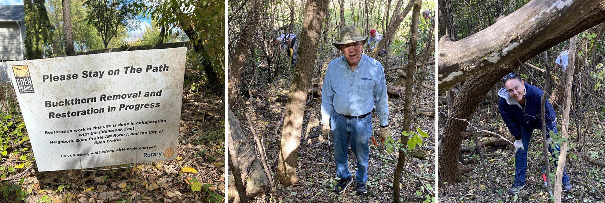 Buckthorn Removal 2023