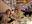 IMG_5302.jpeg