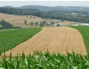 Miller Plant Farm | Rotary Club of York