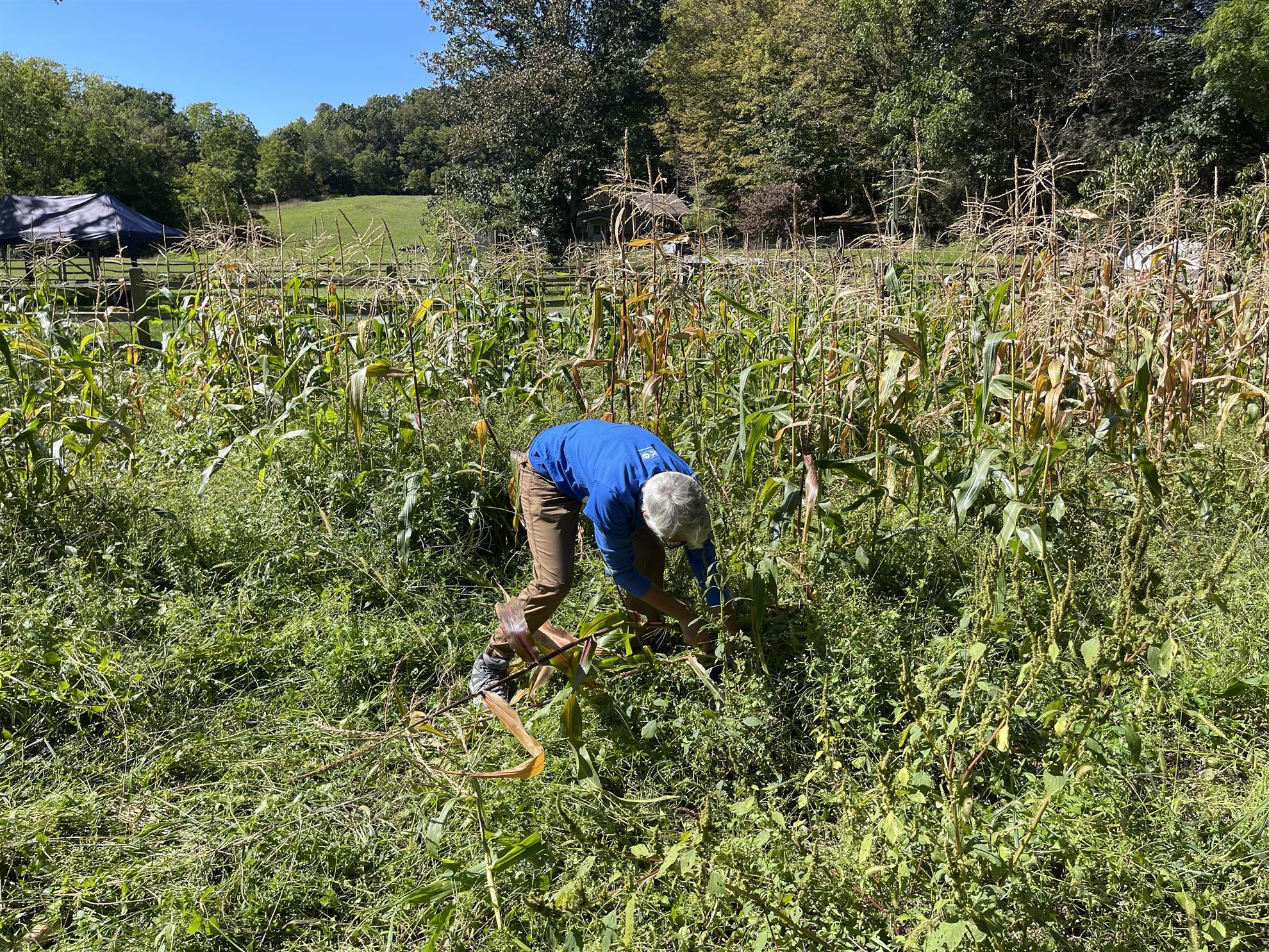 PM United Way Day of Caring Quiet Valley