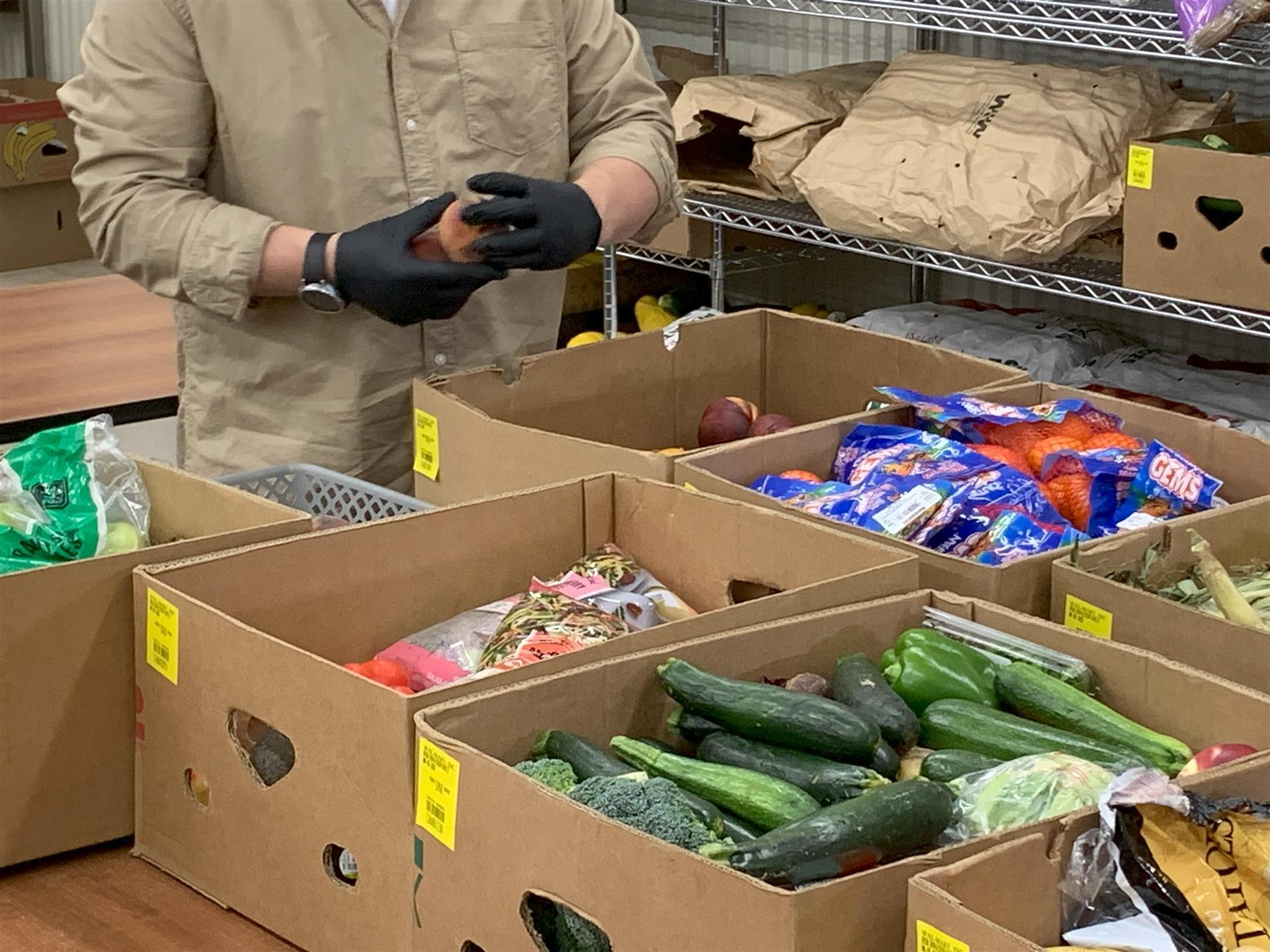 McLeod County Food Shelf Tour