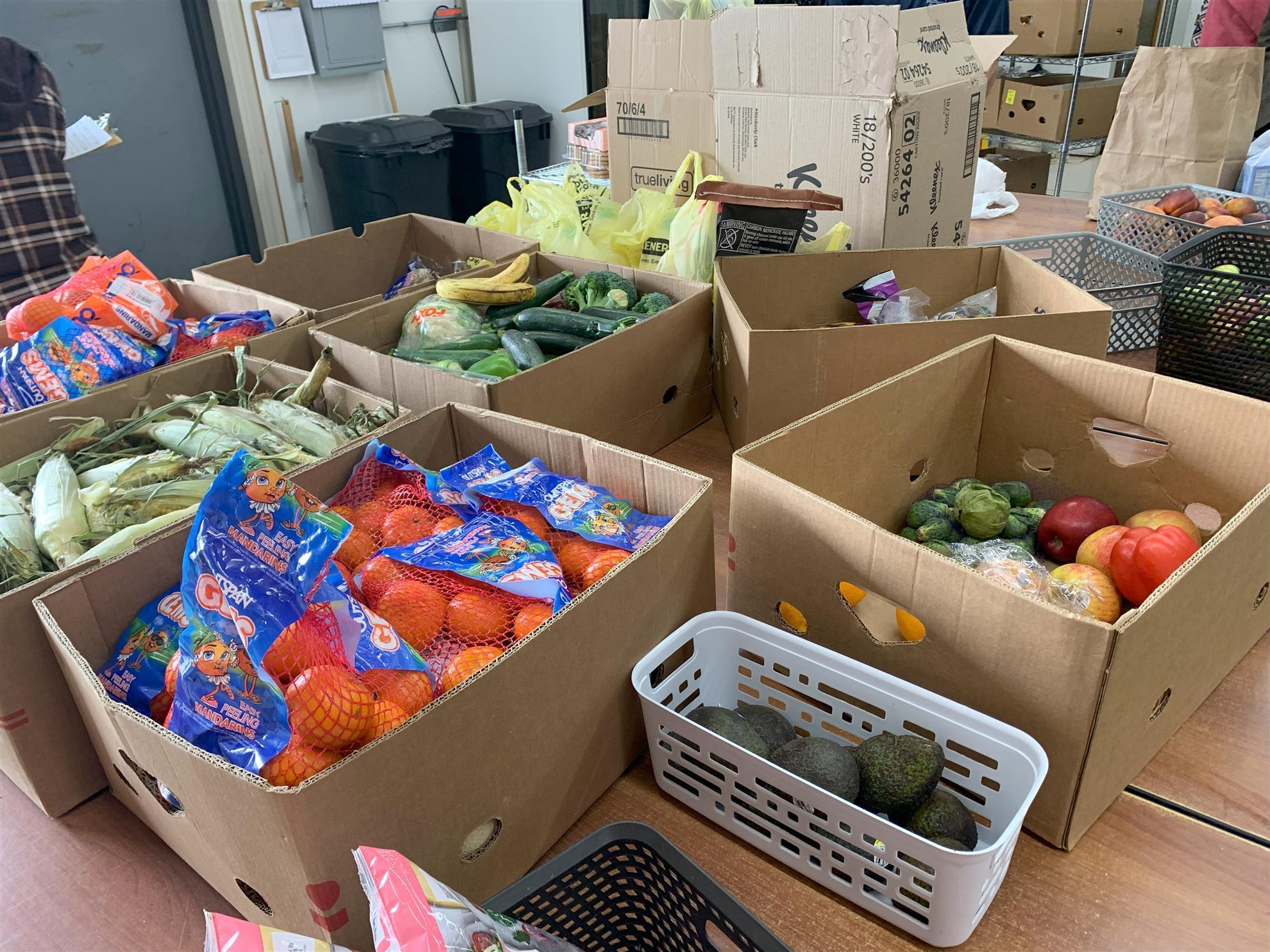 McLeod County Food Shelf Tour