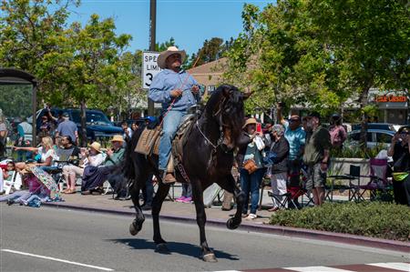 Rodeo Parade Album 2  Rotary Club of Castro Valley