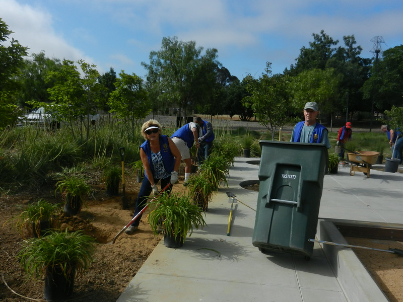Bocce Ball Rotary Club of Hill