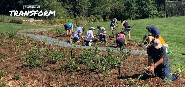 Planting pollinator garden