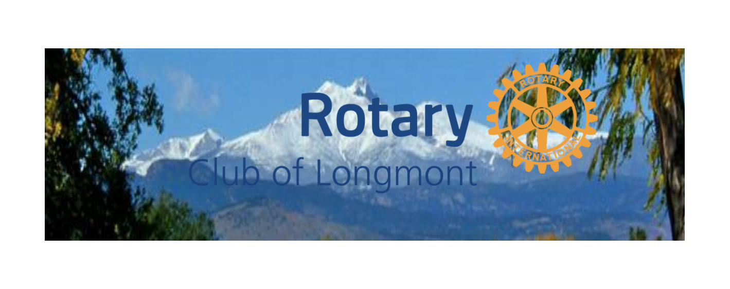 Rotary Website