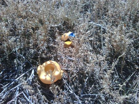 Casualties of War