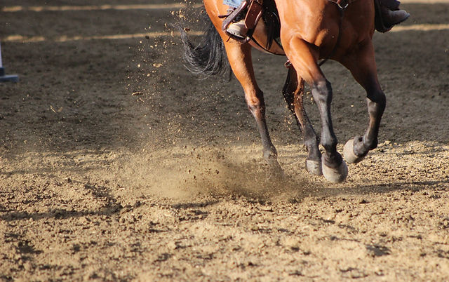 Dirt floor with view of 4 legs of a brown horse.