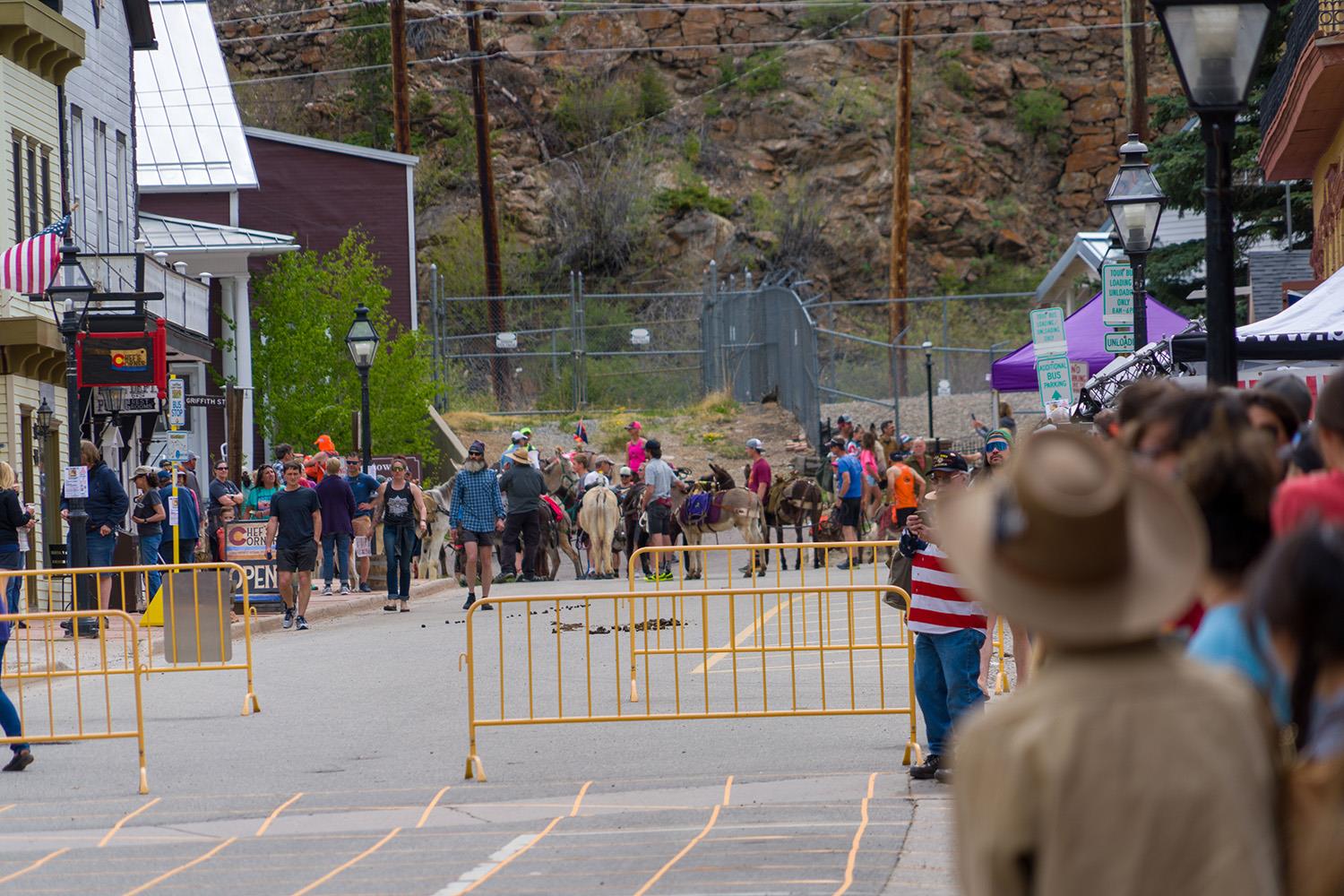 Burros & runners gather