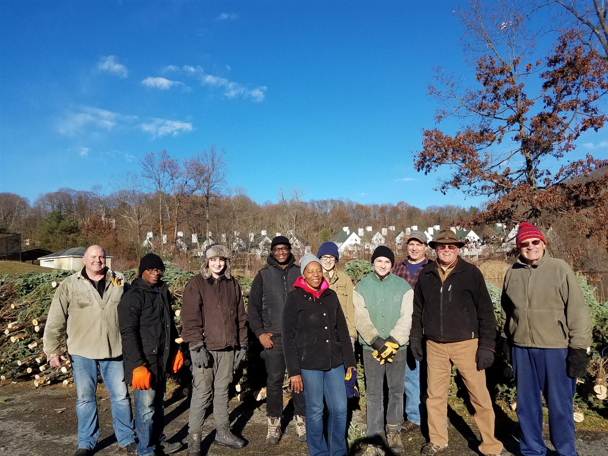 Christmas Tree Sales Setup