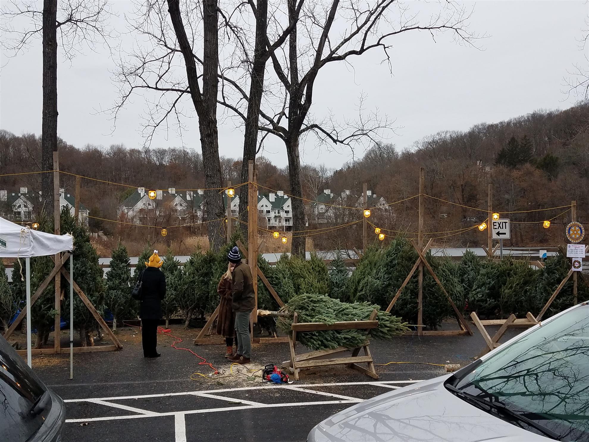 Christmas Tree Sale