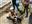 0850AC75-1A66-4487-BC6F-C1CC6460C66E.jpeg
