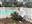 C39EF158-4E4E-45DB-8B1C-FF08213029FA.jpeg
