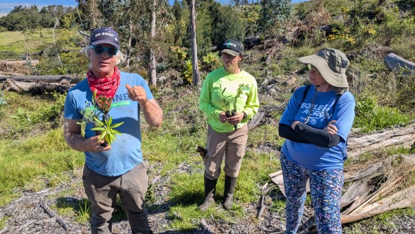Skyline Conservation's Joe Imhoff explaining how to plant native seedlings during our club's service project.
