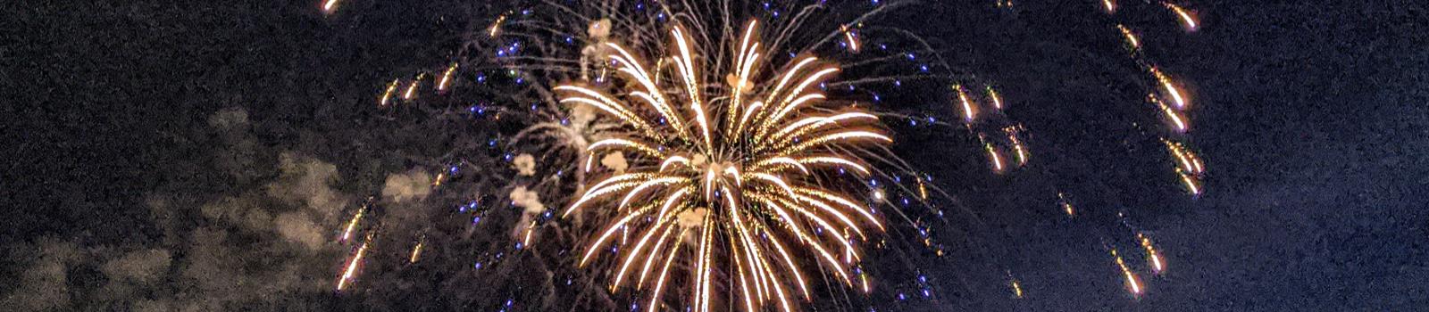 Roepke - Buckinghman Fireworks Fund