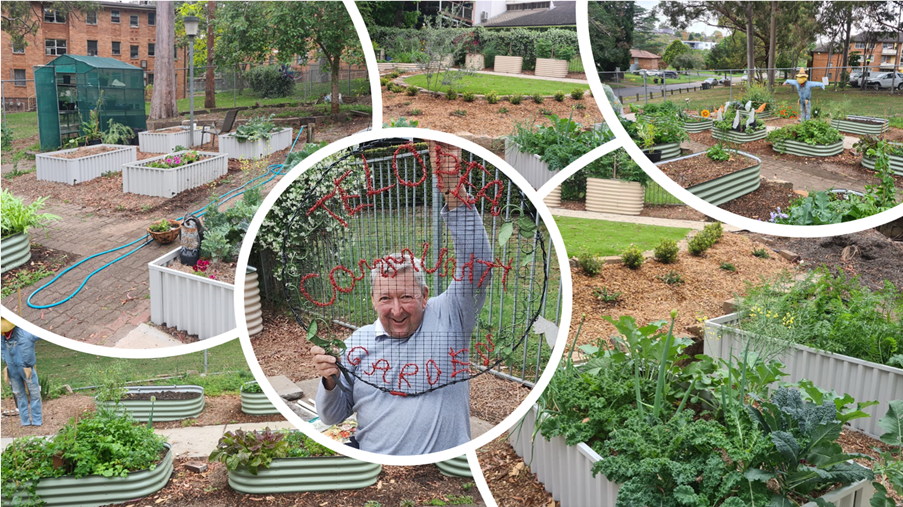 Telopea Community Garden volunteering