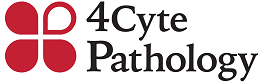 4 Cyte Pathology