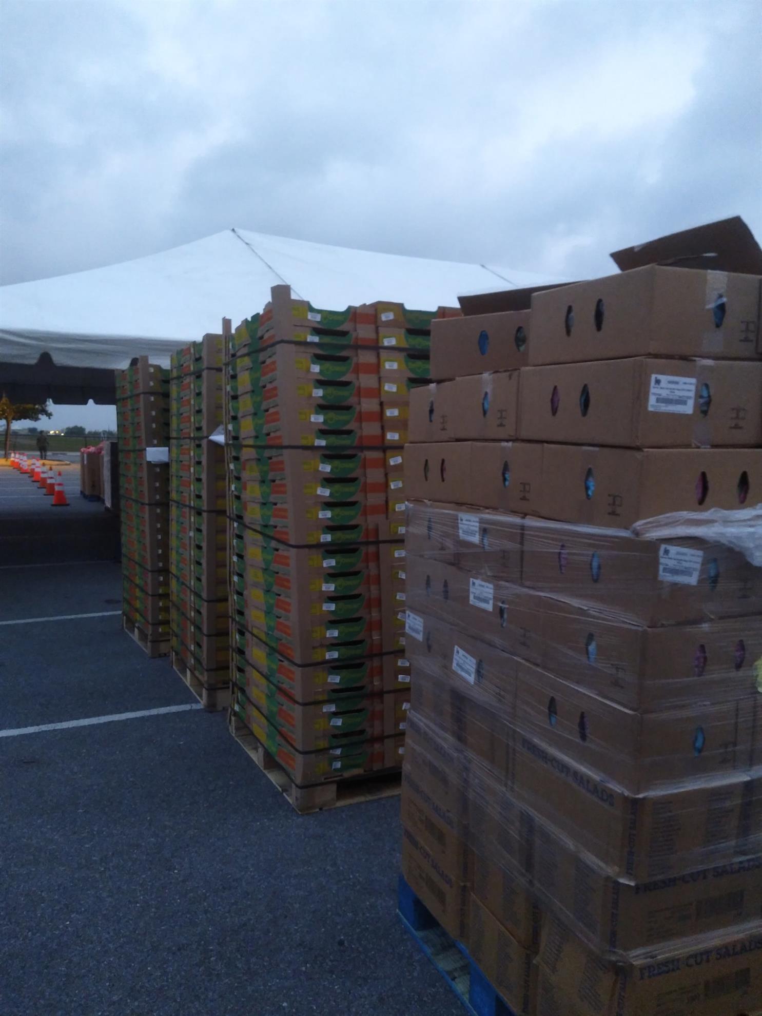 Food-Distribution-2021---21.jpg