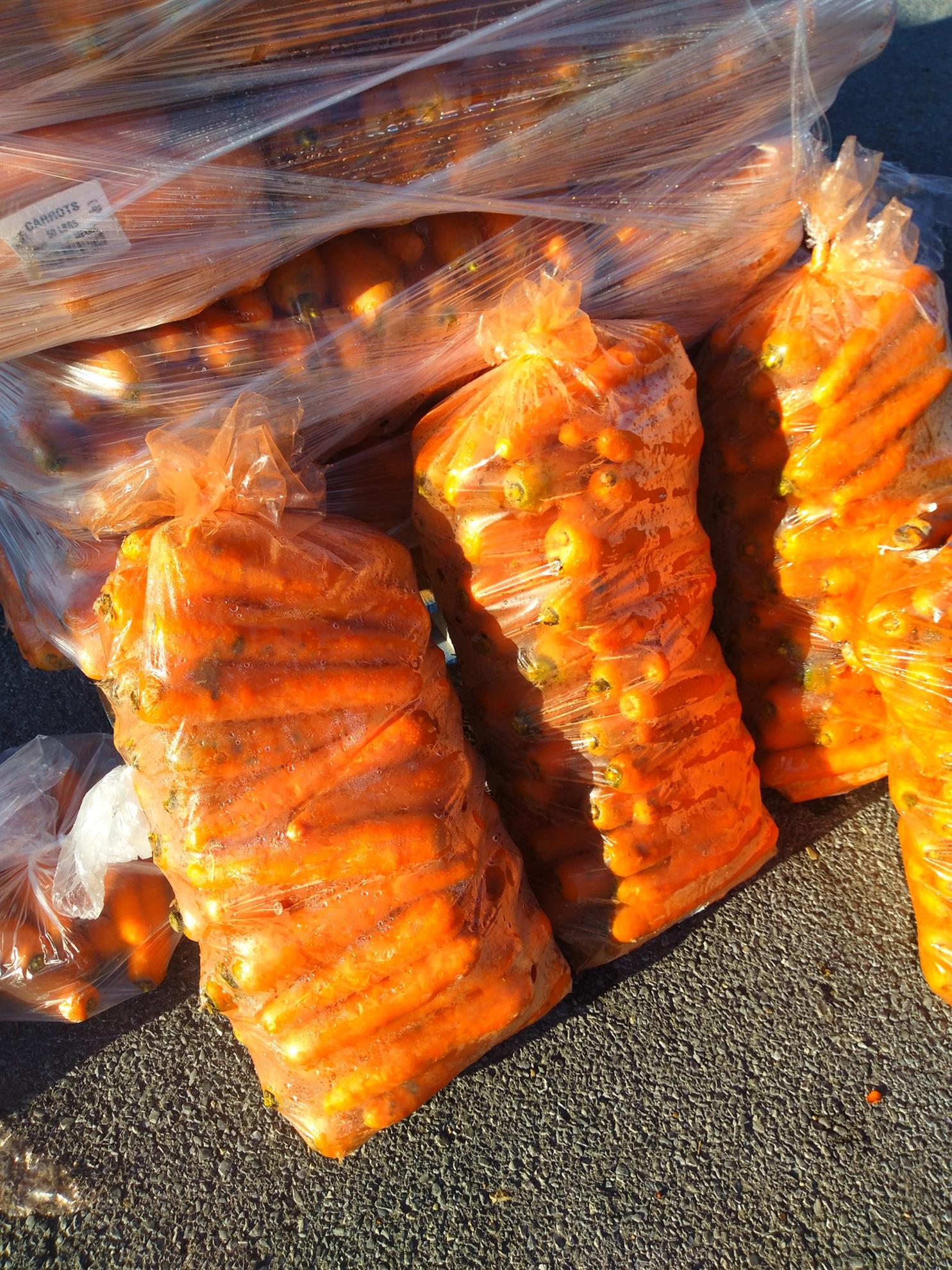 Food-Distribution-2021---61.jpg
